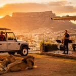 Kapstadt: Jazz und Safari – Neuigkeiten, Fakten und Highlights 2026